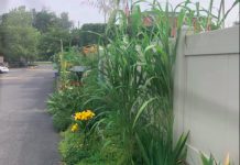 Greening Unused Spaces
