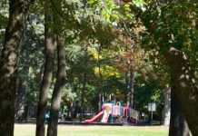 Shade Tree Meetings