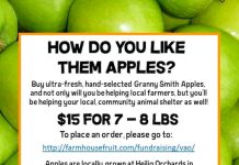 Granny Smiths for a Cause
