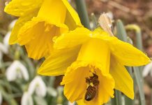Events abound this Saturday