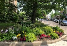 Gardens in Bloom