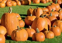 October 2022 Markets