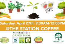 Sapling, Seed, Plant Swap