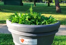 Greening the West End