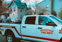 Bunny Tour & Egg Hunt