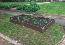 Curbside gardens growing