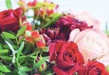 Make Love Bloom