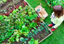 Show Us Your Gardens