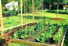 Register Your Garden