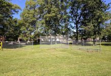 Play ball at Wellwood