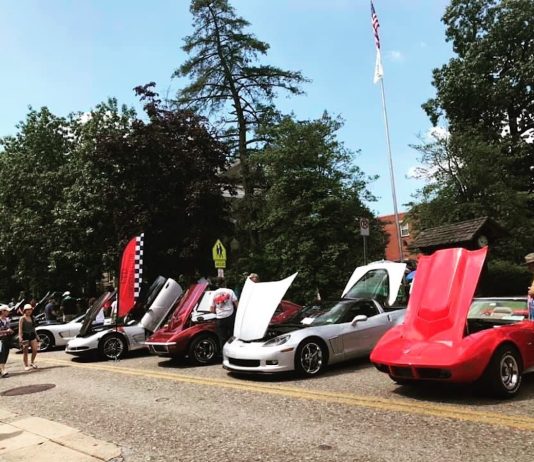 Car Show Preview