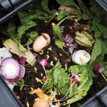 Food Waste Recycling