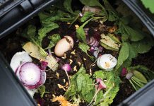 Food Waste Recycling