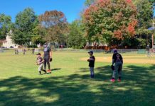Little League Merger