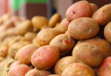 Plant Those Spuds!