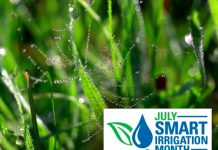 Irrigation Tips