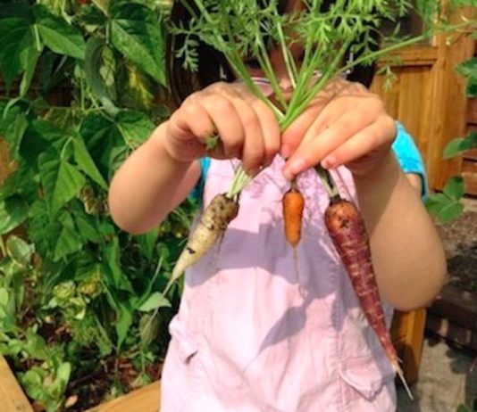 Teach Food Growing Early