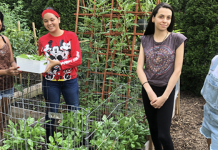 4-H Youth Development