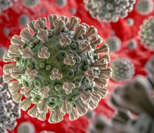 Coronavirus (COVID-19)