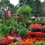 Additional Businesses Stay Open