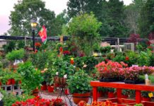 Additional Businesses Stay Open