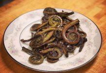 Fiddleheads Sprout Menus