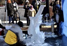 Fire & Ice Festival