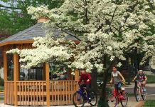 Public Notice: Shade Tree Meetings