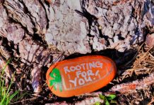 Kindness Rocks