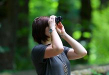 Try Virtual Birding