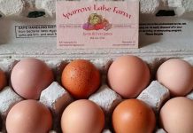 Fresh Eggs at the Market