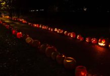 Join the Jack O’Lantern Walk