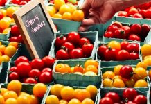 Town Food Blogger Wins Grand Prize