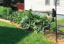 Landscape Registry is Growing