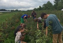 Town Starts 4-H