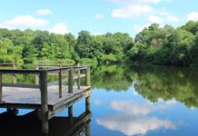 Calling all nature lovers