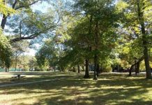 Wellwood Park Clean-Up