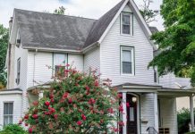 Spotlight on Victorian Renos