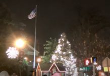 Virtual Town Tree Lighting