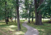Trees Are Stationary Superheroes