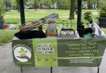 Saplings Still Available