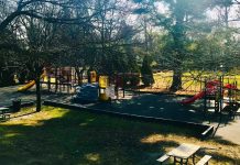 Seeking Camp Directors