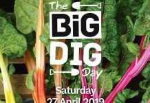 The Big dig