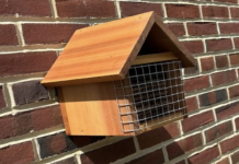 MES Bee Habitat