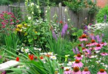 Jersey-Friendly Yards
