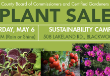 CCCG Plant Sale