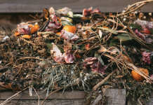 Composting is Nature’s Way of Recycling and A Way to Reduce Garbage