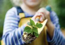 Kids Explore the Environment