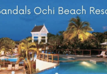 Calling All Travel Professionals