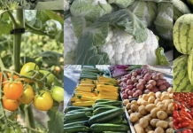 Farm Produce Shares